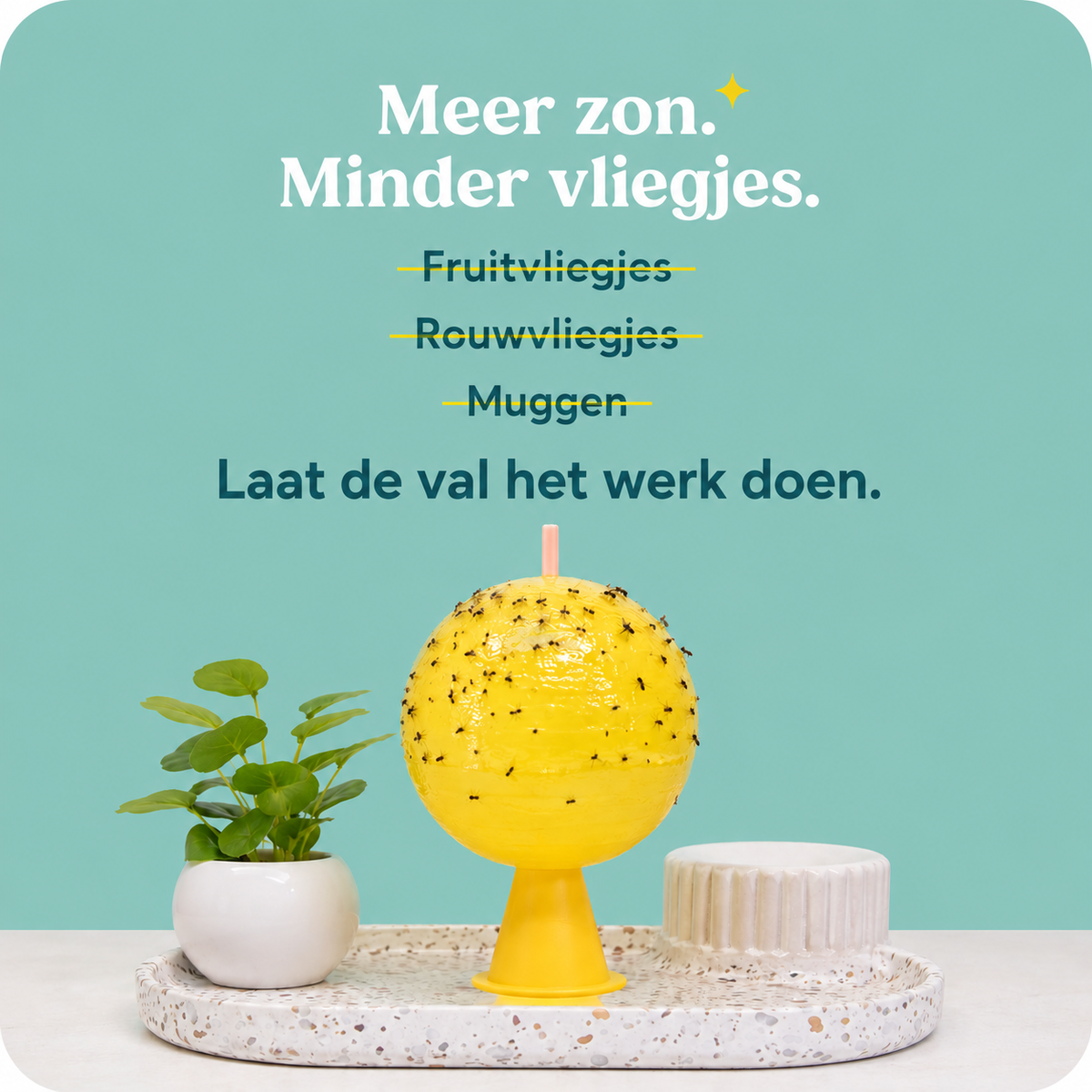 Fruitvliegjesvanger voor Binnen en Buiten