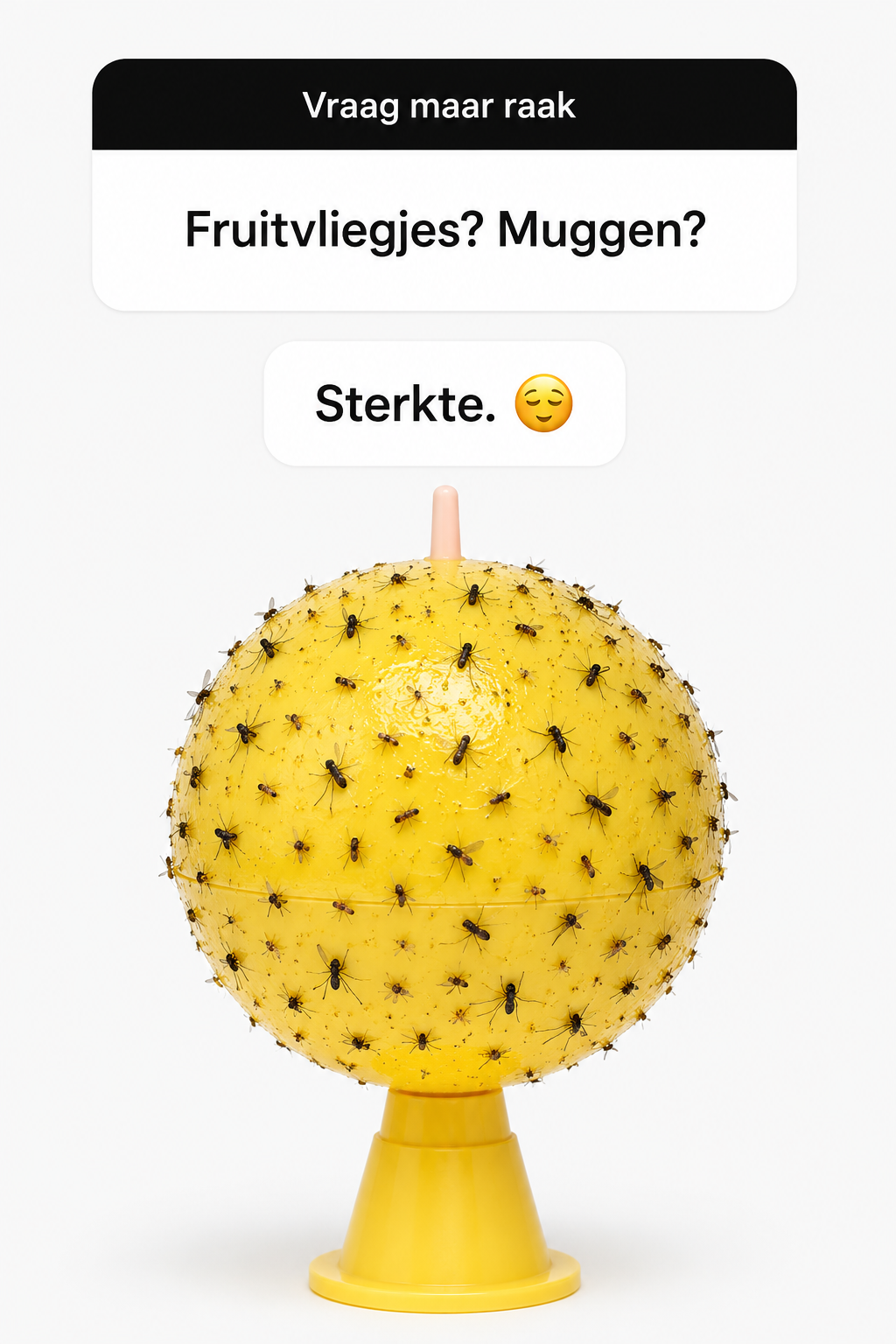 Fruitvliegjesvanger voor Binnen en Buiten