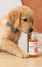 PURE Salmon Oil for Healthier Dogs and Cats