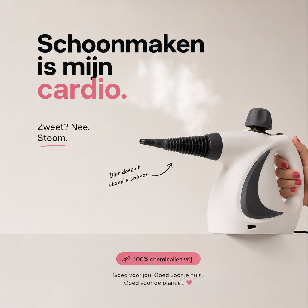 QuickSteam Stoomreiniger ProV2