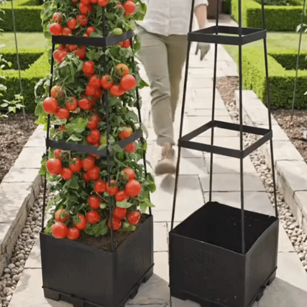 Tomatenpilaar Kweekset